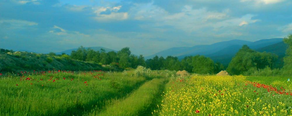 Në Fush të Pallaticës